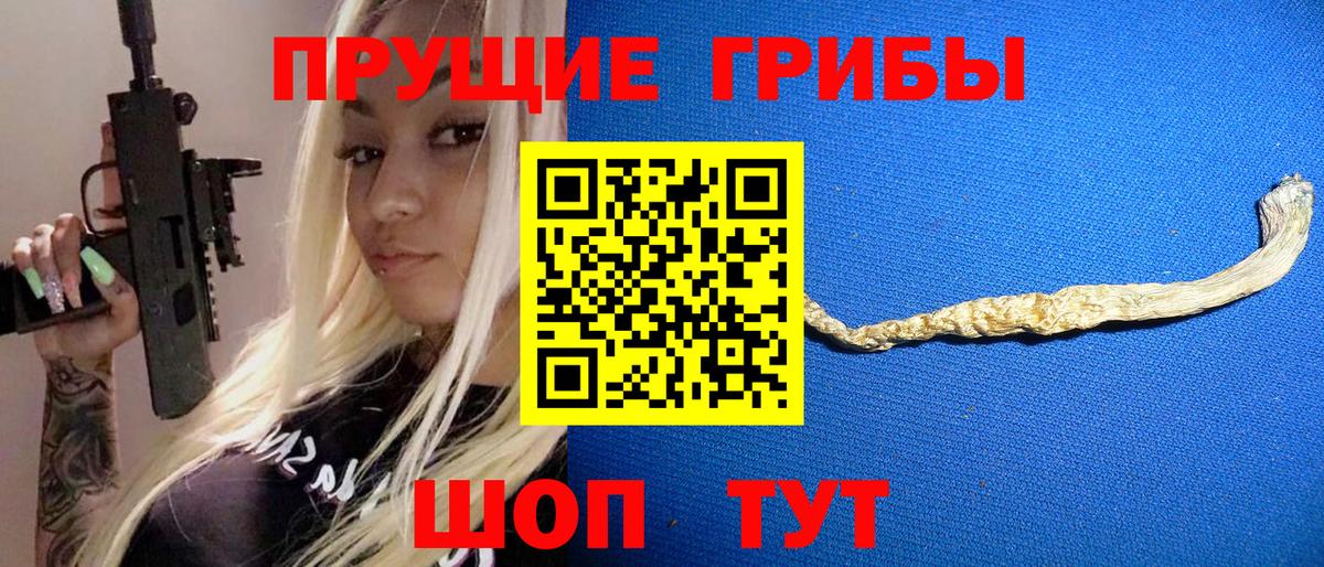 Псилоцибиновые грибы Psilocybine cubensis Ступино