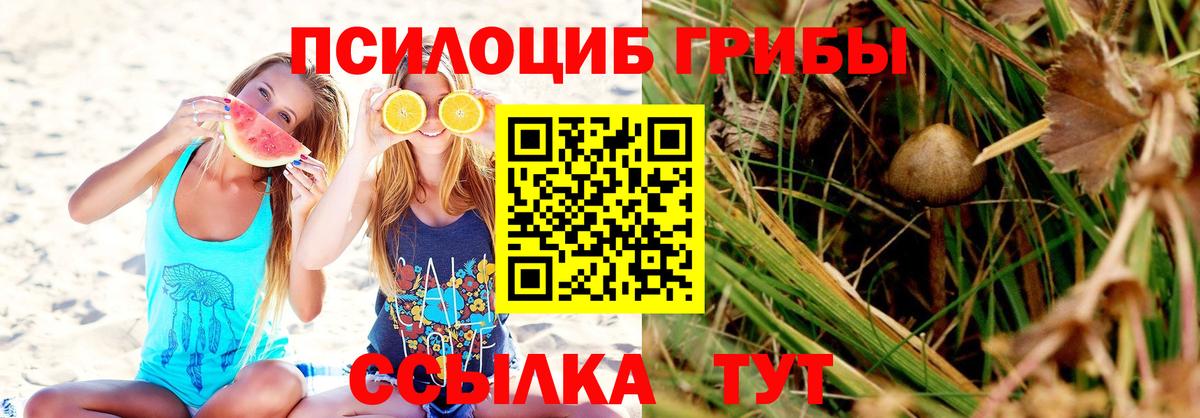 Ступино  Псилоцибиновые грибы MAGIC MUSHROOMS  сколько стоит  Вход с VPN 
